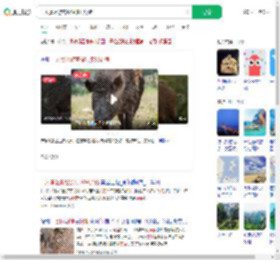 一风景区游客投喂多只野猪_360搜索